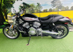 V-ROD 1130cc VRSCA/ 1250 VRSCAW