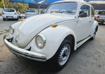 FUSCA 1300 L