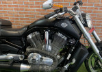 Imagem 7 - V-ROD 1250cc MUSCLE VRSCF