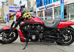 Imagem 8 - NIGHT ROD SPECIAL 1250 VRSCDX