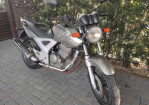 Imagem 1 - CBX 250 TWISTER