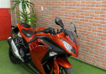 Imagem 2 - NINJA 300