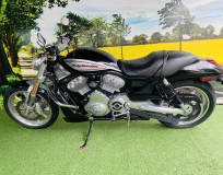 V-ROD 1130cc VRSCA/ 1250 VRSCAW