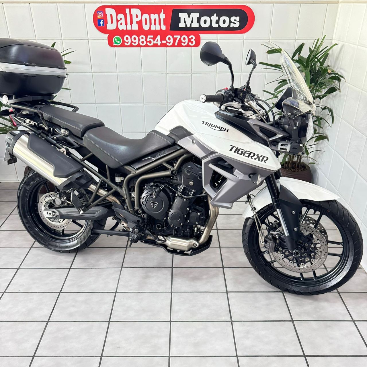  Triumph Tiger 800 XR 2017